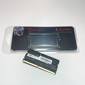 16GB DDR5 SO-DIMM 5600 MEMORIA RAM (1X16GB) CL46 BLUERAY