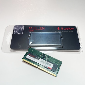 8GB DDR5 4800 MEMORIA RAM (1X8GB) CL40 BLUERAY